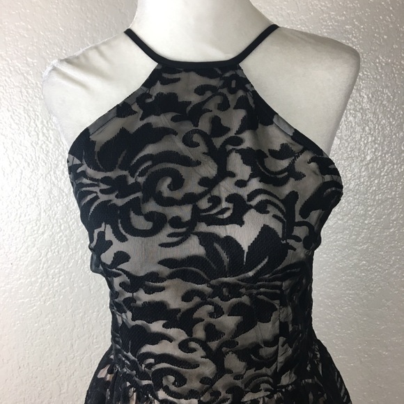 TOBI High Neck Fit & Flare Floral Lace Mini Dress - Picture 3 of 7